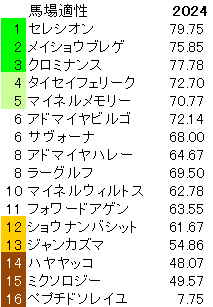 2024　アルゼンチン共和国杯　馬場適性指数